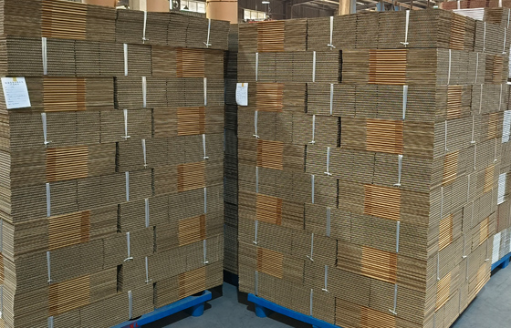 MẪU CARTON SÓNG