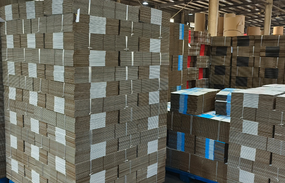 MẪU CARTON SÓNG